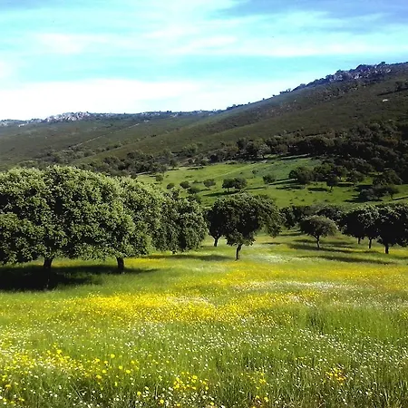 La Sierra De Monfraguee Country house