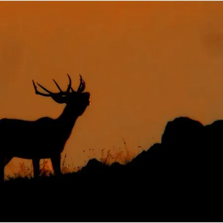 La Sierra De Monfraguee