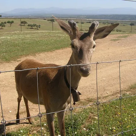 בית כפרי La Sierra De Monfraguee מלפרטידה דה פלסנסיה